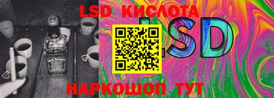 PSILOCYBIN Ирбит