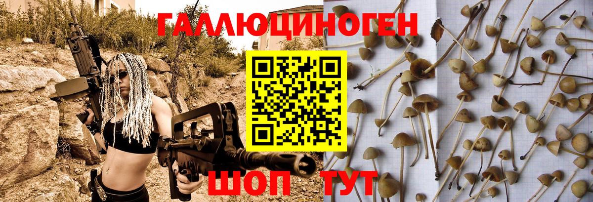 Галлюциногенные грибы мицелий  Вход с VPN  где купить наркотик  Псилоцибиновые грибы мухоморы  Елабуга 